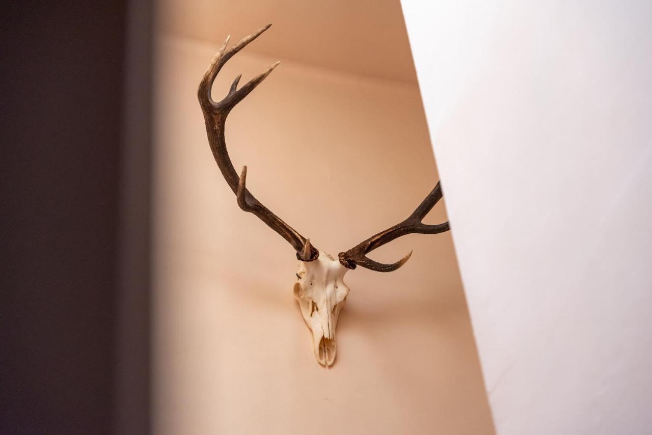 Hotel Le Cor De Chasse サン・テュベール エクステリア 写真